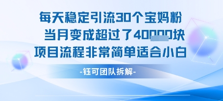 每天稳定引流30个人 当月变成超过了4个W项目流程非常简单适合小白 每天稳定引流30个人 当月变成超过了4个W项目流程非常简单适合小白