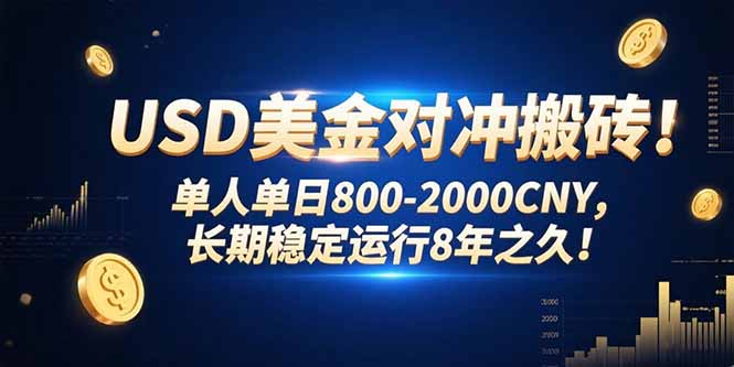 (15551期)USD美金对冲搬砖!单人单日800-2000CNY,长期稳定运行8年之久!
