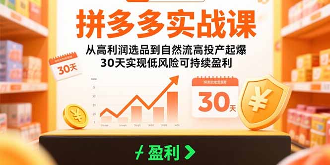 (15586期)拼多多实战课:从高利润选品到自然流高投产起爆 30天实现低风险可持续盈利