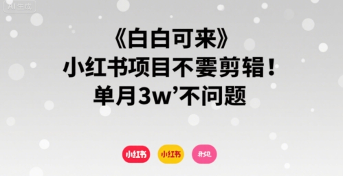 小白可来 小红书项目不需要剪辑 单月3w不是问题 小白可来 小红书项目不需要剪辑 单月3w不是问题