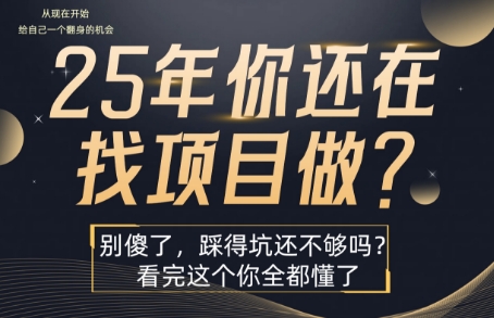 25年,你还在疯狂的找项目吗?别傻了,看完这个你都懂了