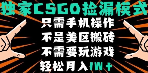 CSGO自动捡漏项目,最新独家玩法,不是美区搬砖,不需要了解和玩游戏,新手小白轻松月入1W+