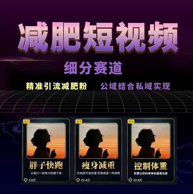 减肥短视频运营实战课:含素材制作、剪映教学,讲精准引流、变现设计与内容模板技巧 减肥短视频运营实战课:含素材制作、剪映教学,讲精准引流、变现设计与内容模板技巧