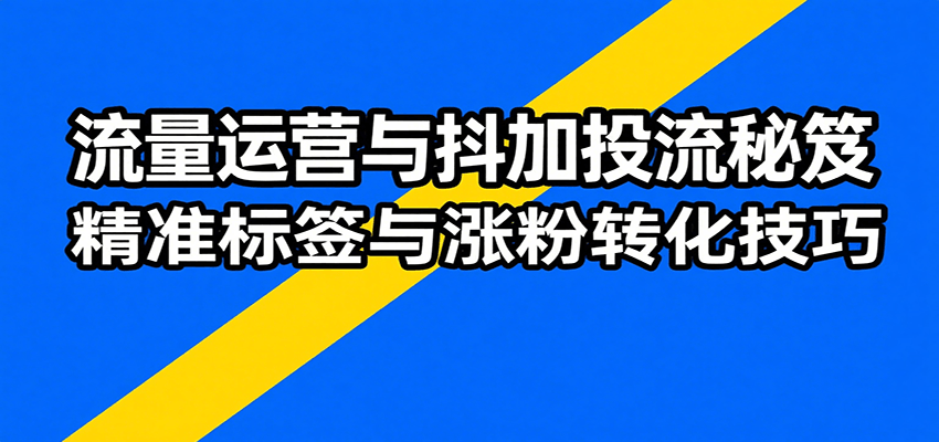 流量运营与抖加投流秘笈,含算法解析、爆款打造、精准标签与涨粉转化技巧