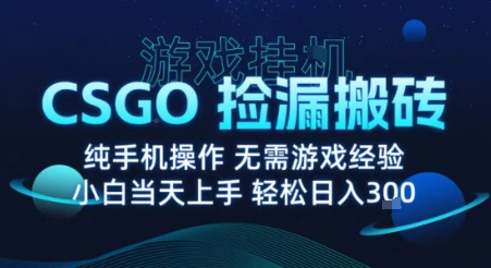 8月最新游戏搬砖,CSGO纯挂G,不需要玩游戏,实现真挂G,月入1W+