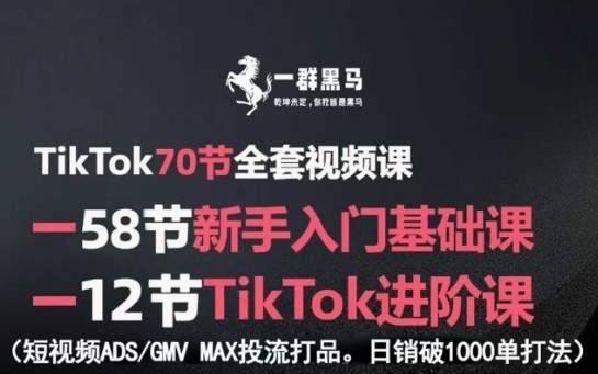 1-127.jpg TikTok全套视频课,新手入门+进阶课,短视频ADS-GMV MAX投流打品,日销破1000单打法