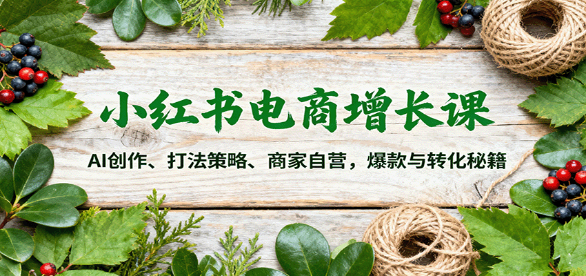 小红书电商增长课:AI创作、打法策略、商家自营,爆款与转化秘籍